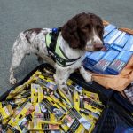 BBC report to reveal scale of illegal tobacco problem in Wales