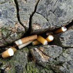 Ten reasons why smoking is bad for the planet