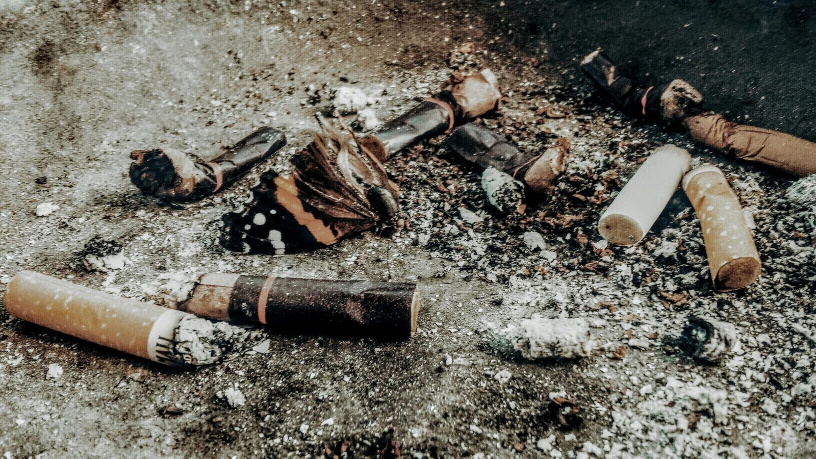 Smoke-Free Environments
