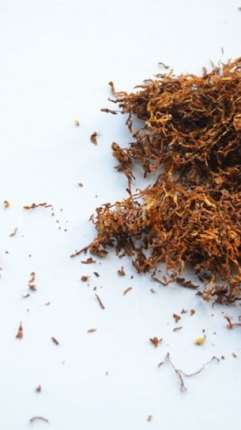 tobacco